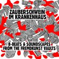 zauberschwein_typo